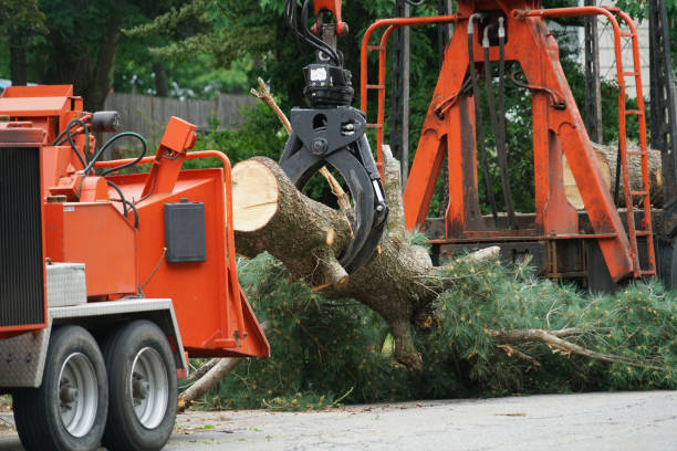 Landscape Design and Installation in Pine Island, MN